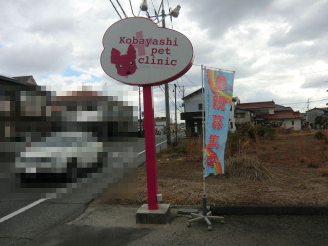 1349963252_182.jpg