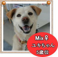 yuki111.jpg