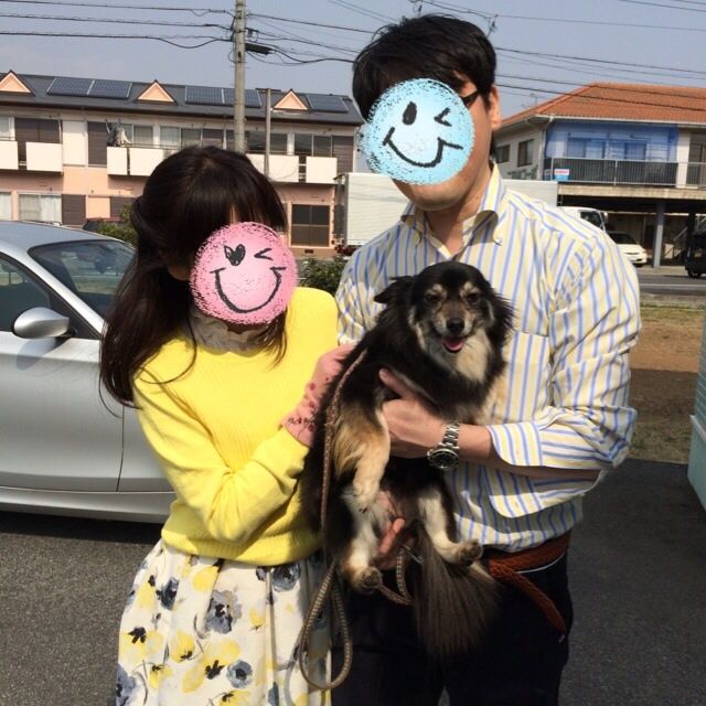 1409301924_228.jpg
