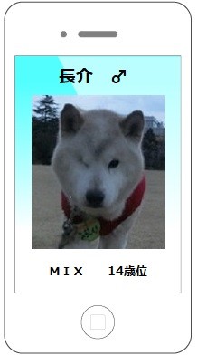 長介