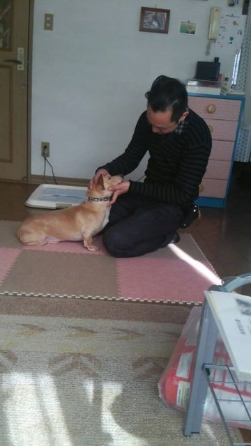 1403209131_3.jpg