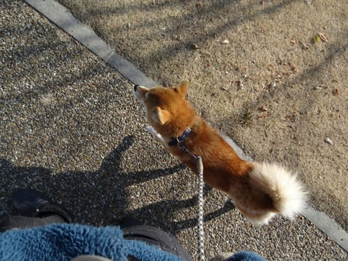 ran3
