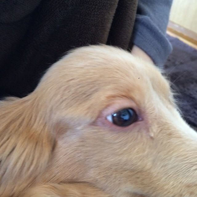 1411770069_203.jpg