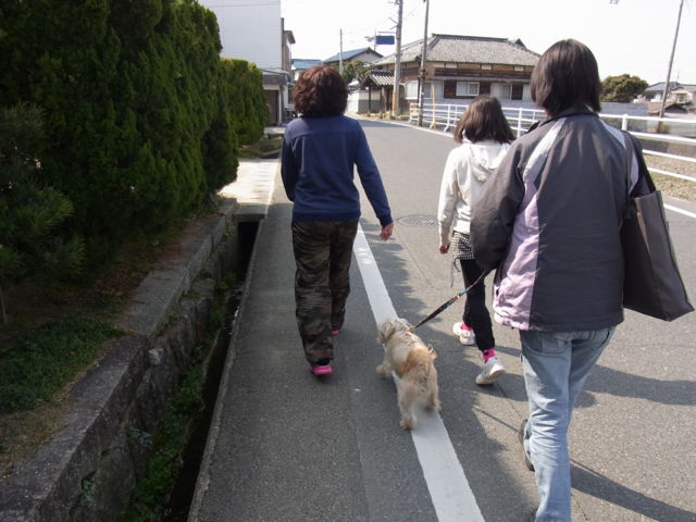 1361822283_211.jpg