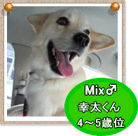 boo1_20140222040850e1a.gif