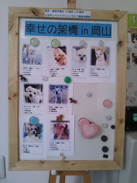 1406098303_47.jpg