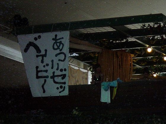 02458913.jpg
