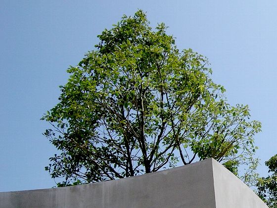 0464212f.jpg