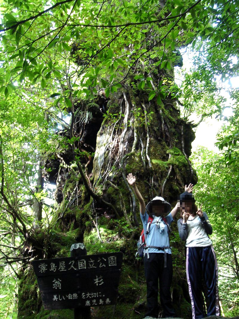 101009-04yakushima