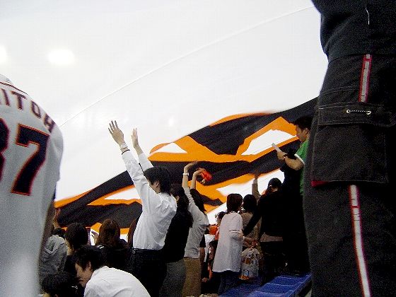 06f1ec38.jpg