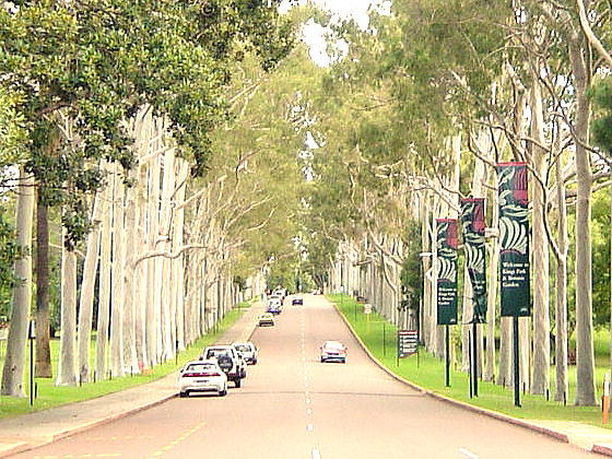 0d6e0544.jpg