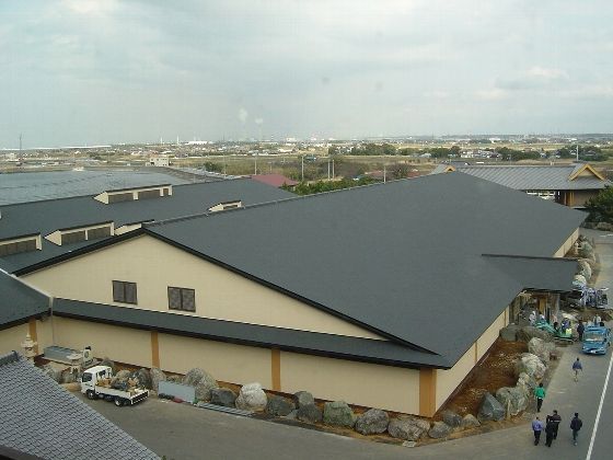 269617d9.jpg