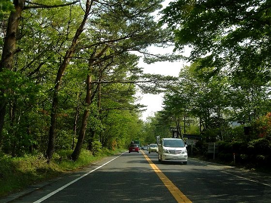 2a8fd363.jpg