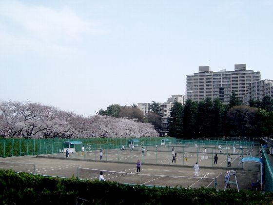 33236c06.jpg