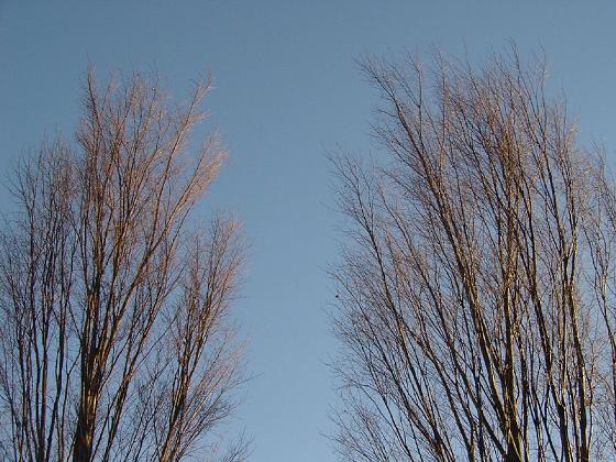 3729514d.jpg