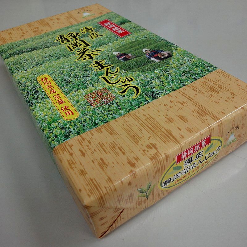 100621-01shizuoka