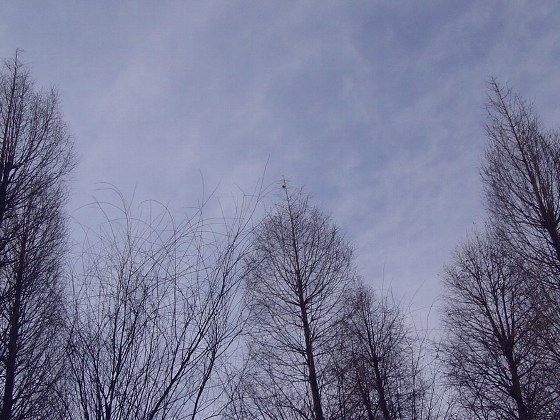 42c5b6d8.jpg