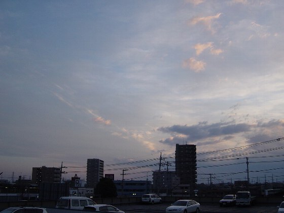 57175146.jpg