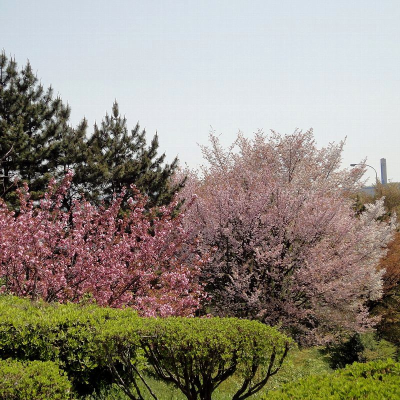 100427-03nasu