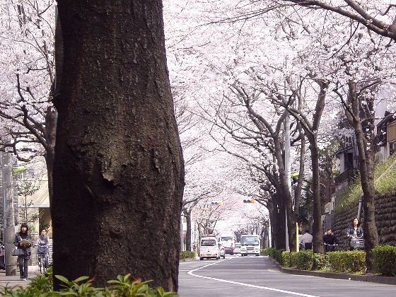 8b7c9230.jpg