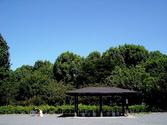 b523e08e.jpg