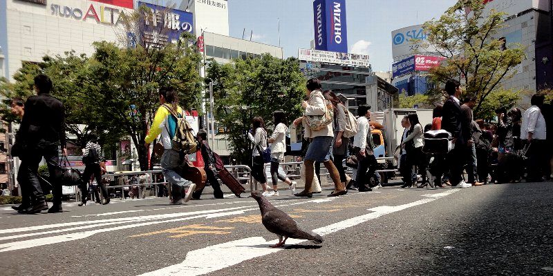 100508-02shinjuku