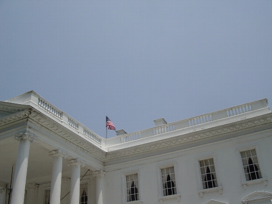 c3a8289a.jpg
