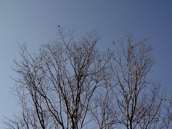 cbe62303.jpg