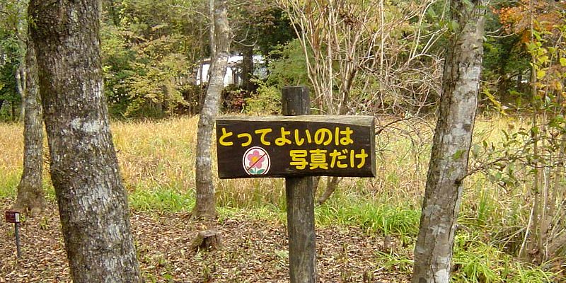 d2136ff4.jpg
