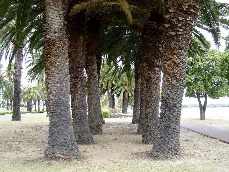 100523-04perth