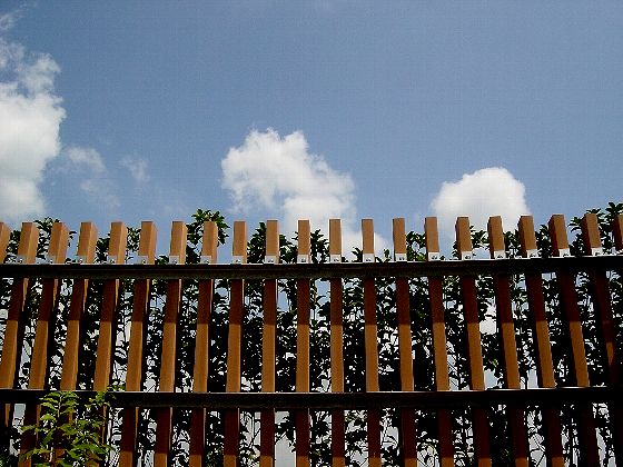 df167346.jpg