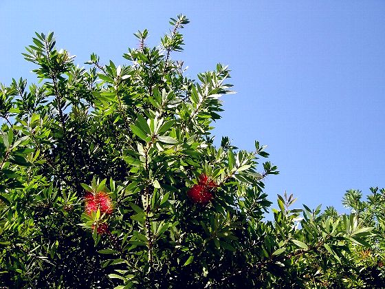 f167d087.jpg