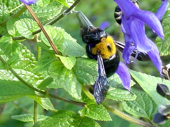 f39e05f4.jpg