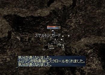 fe24b894.jpg