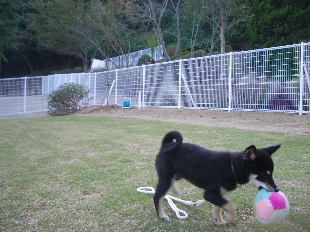 幼site：６９．６４．４５．４１ の掲示板投稿写真＆画像