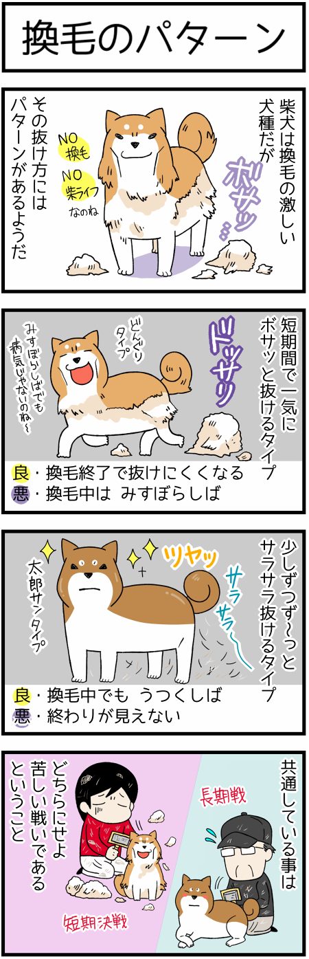 20170512換毛パターン21