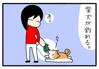 5.png