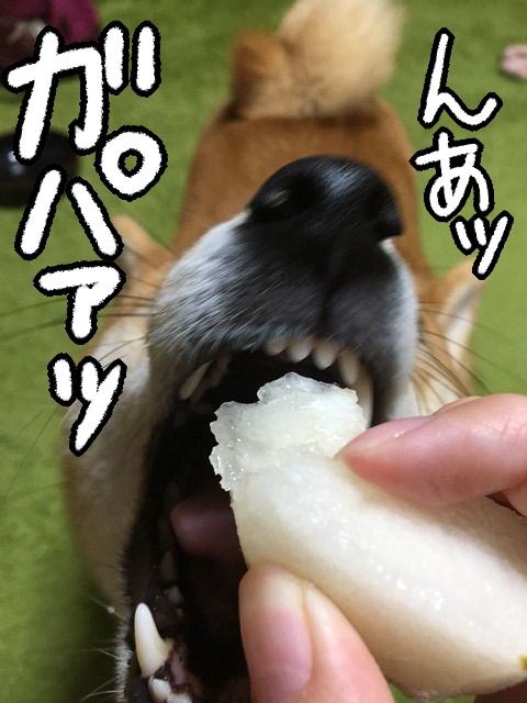 4bwmctdb