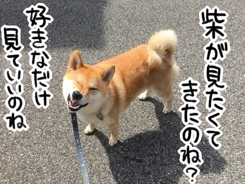 7yknhzu1
