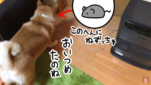 pn5dgahg