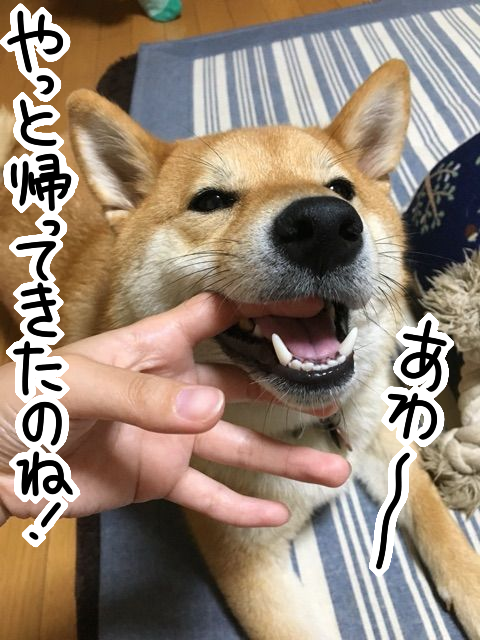 3k6yfmex