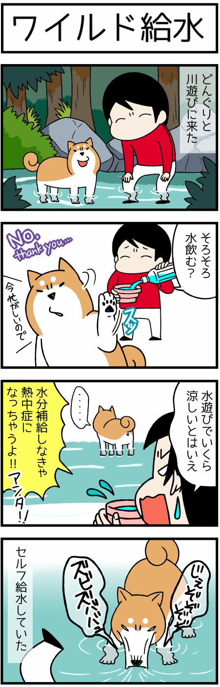 20170808せるふきゅうすい1