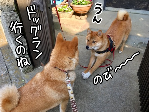 6idnmn49