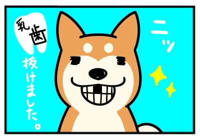 乳歯2.png
