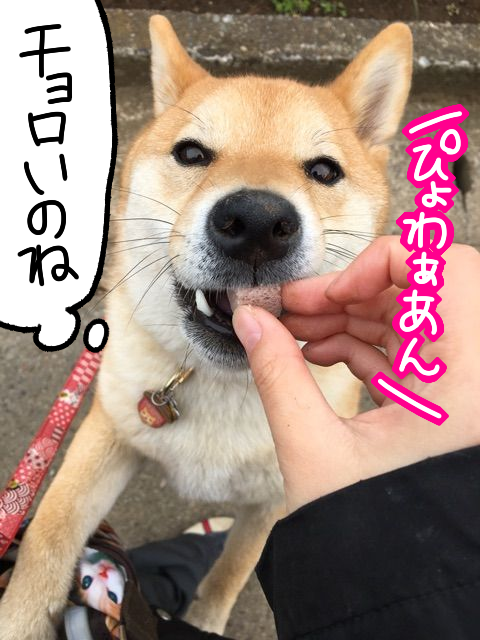 tlkedrb9