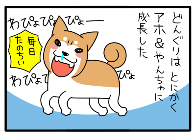 1.png