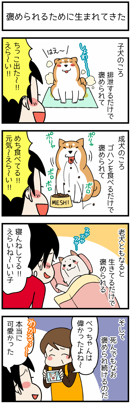20170811褒められる1