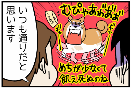 20170421換毛はつらい?2