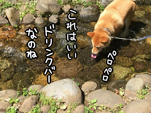 n2elbvh1