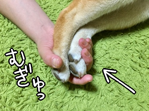 nxj3n3jc